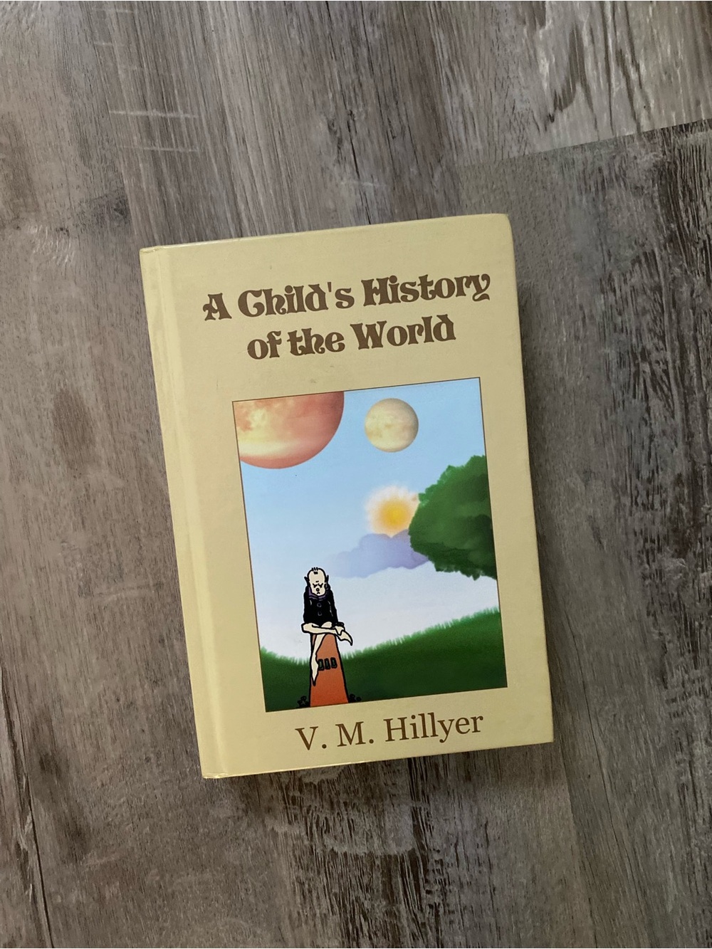 A Childs History Of The World
Book By V.M Hillyer Hard Cover